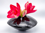 © Foto: Michaela Bruckberger