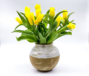 © Foto: Michaela Bruckberger