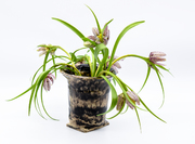 © Foto: Michaela Bruckberger